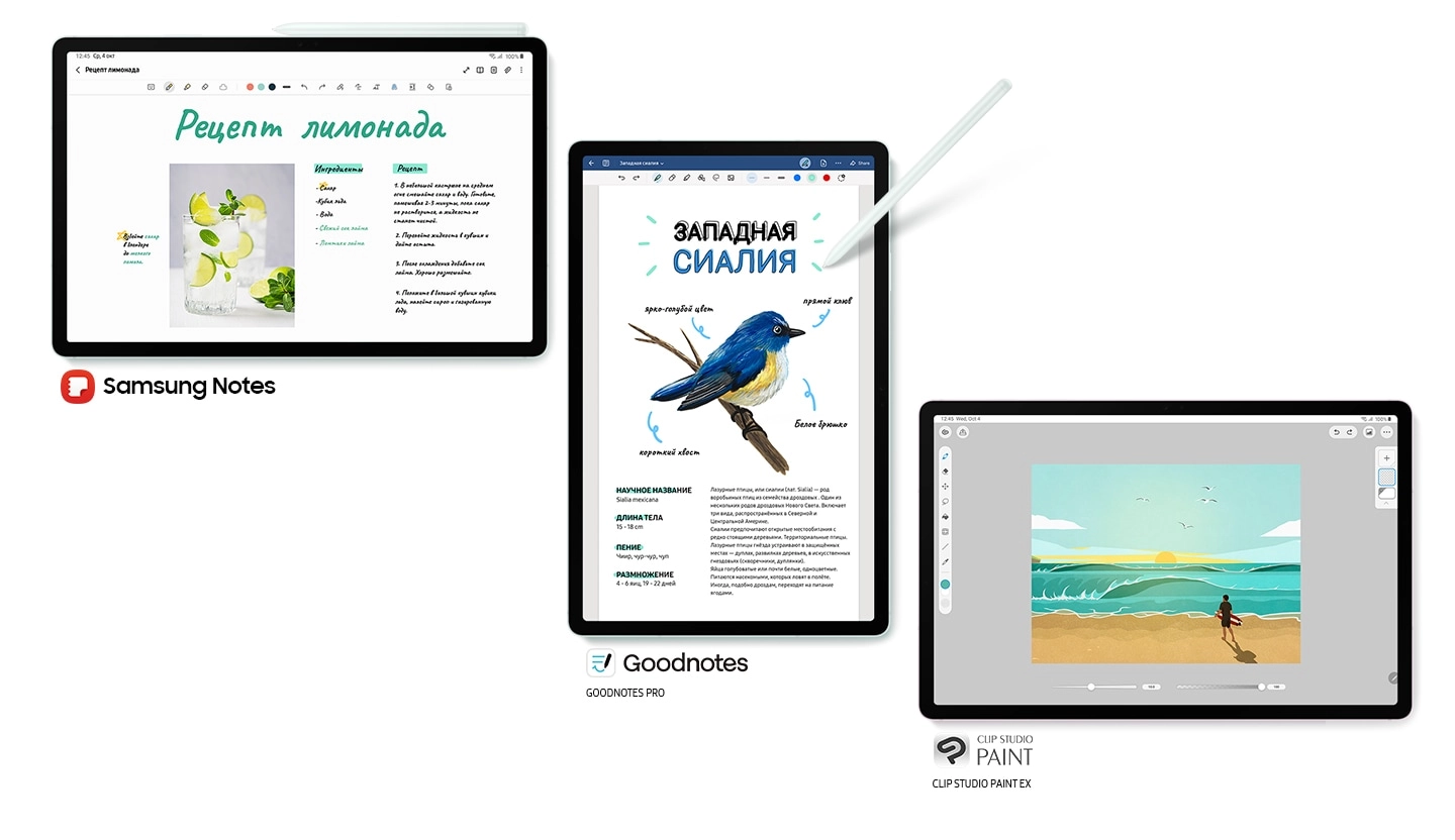 На экране Galaxy Tab S9 FE+ в мятном цвете, показанного спереди в горизонтальном режиме с закрепленным вверху пером S Pen, видно открытое приложение Samsung Notes. Логотип Samsung Notes. На экране Galaxy Tab S9 FE+ в мятном цвете, показанного спереди в вертикальном режиме с пером S Pen, указывающим на экран, видно открытое приложение GOODNOTES PRO с текстом «1 год бесплатно». На экране Galaxy Tab S9 FE+ в лавандовом цвете, показанного спереди в горизонтальном режиме, видно открытое приложение Clip Studio Paint с текстом «CLIPSTUDIO EX: 6 месяцев бесплатно».
