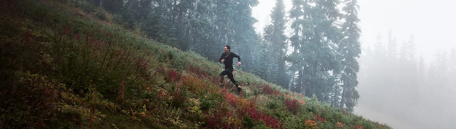 forerunner 955 Hero