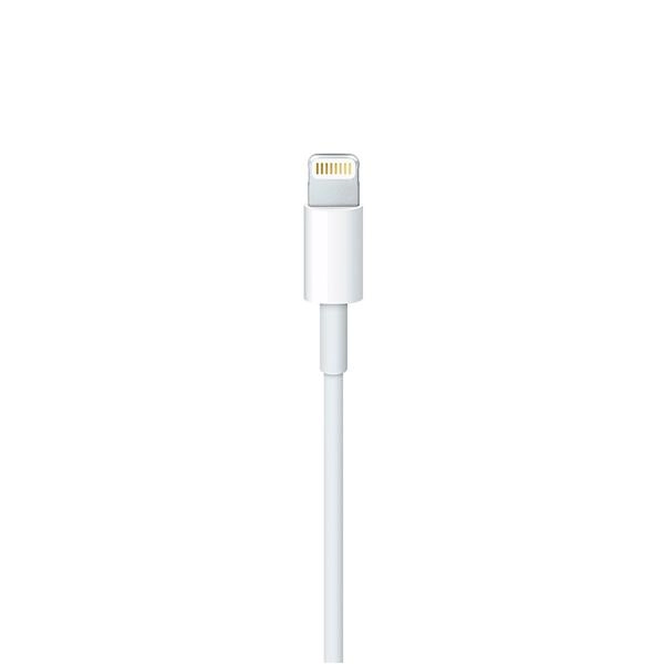 Кабель Apple Type C to Lightning Cable, белый, 1м (MX0K2ZM/A)
