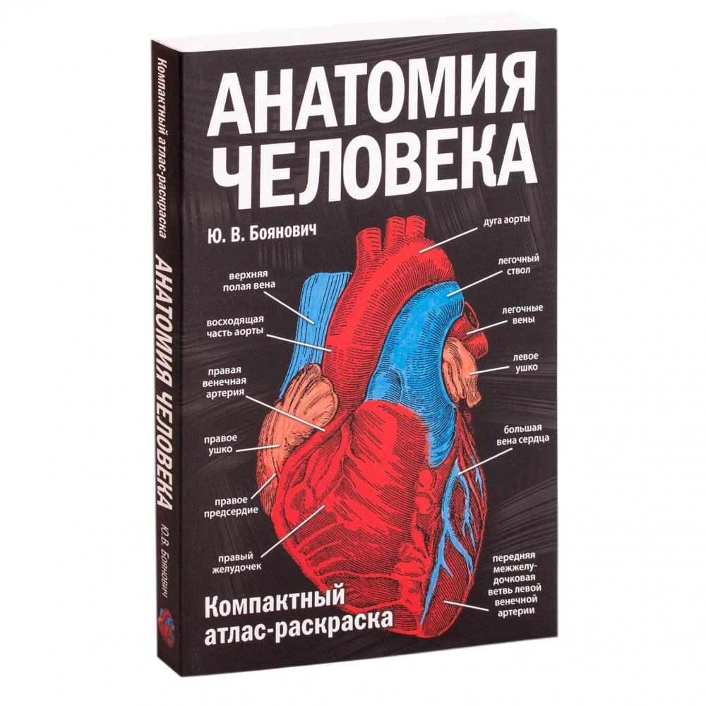 Анатомия атлас раскраска. Анатомия человека Боянович атлас раскраска. Анатомия человека атлас раскраска Уинн Кэпит. Анатомия человека ю в Боянович. Компактный атлас Боянович.