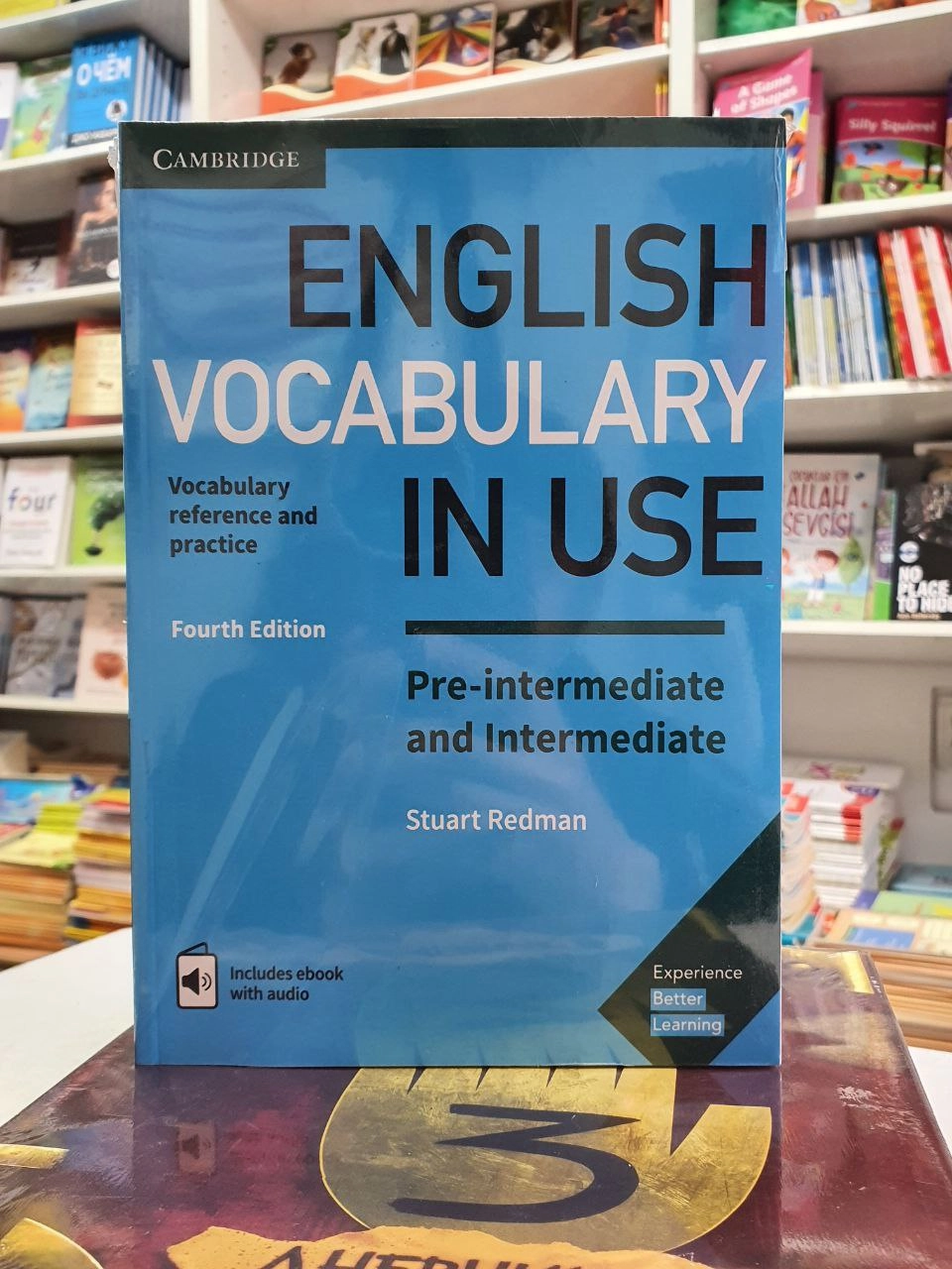 Michael McCarthy, Felicity O'Dell: English Vocabulary in Use. Pre-intermediate and Intermediate (Fourth edition) купить