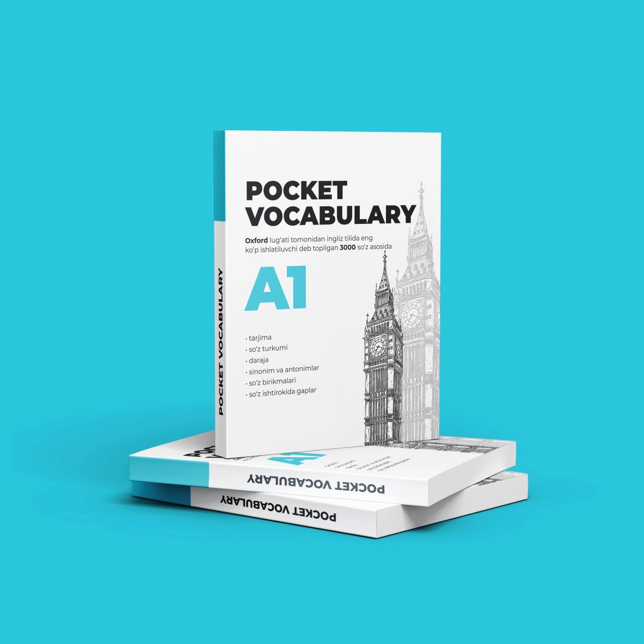 Қудратхўжа Мусаев: Pocket Vocabulary A1 купить