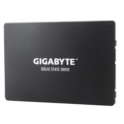 SSD GIGABYTE 256GB GP-GSTFS31256GTND