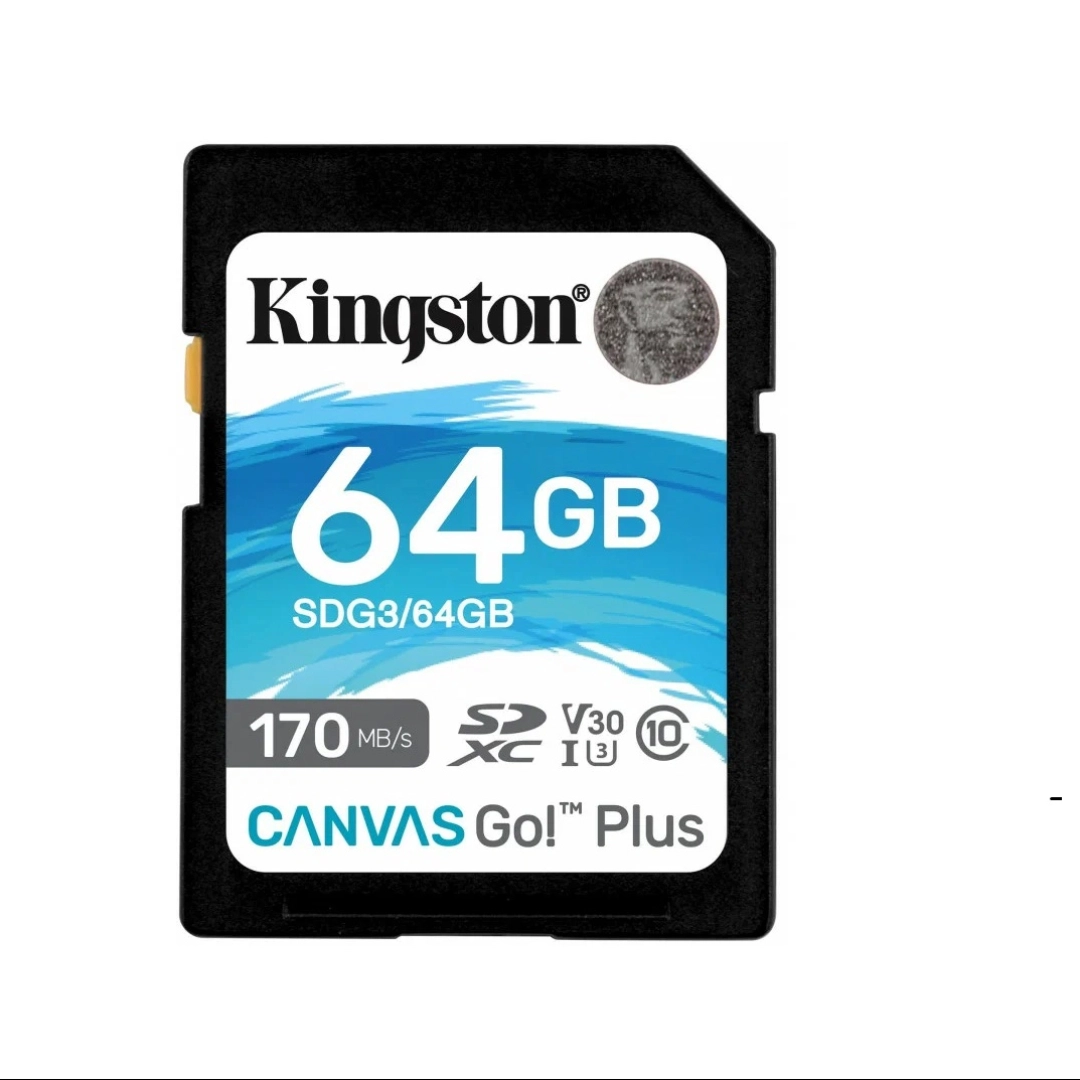 64GB SDXC Canvas Go Plus 170R C10 UHS-I U3 V30 xotira kartasi