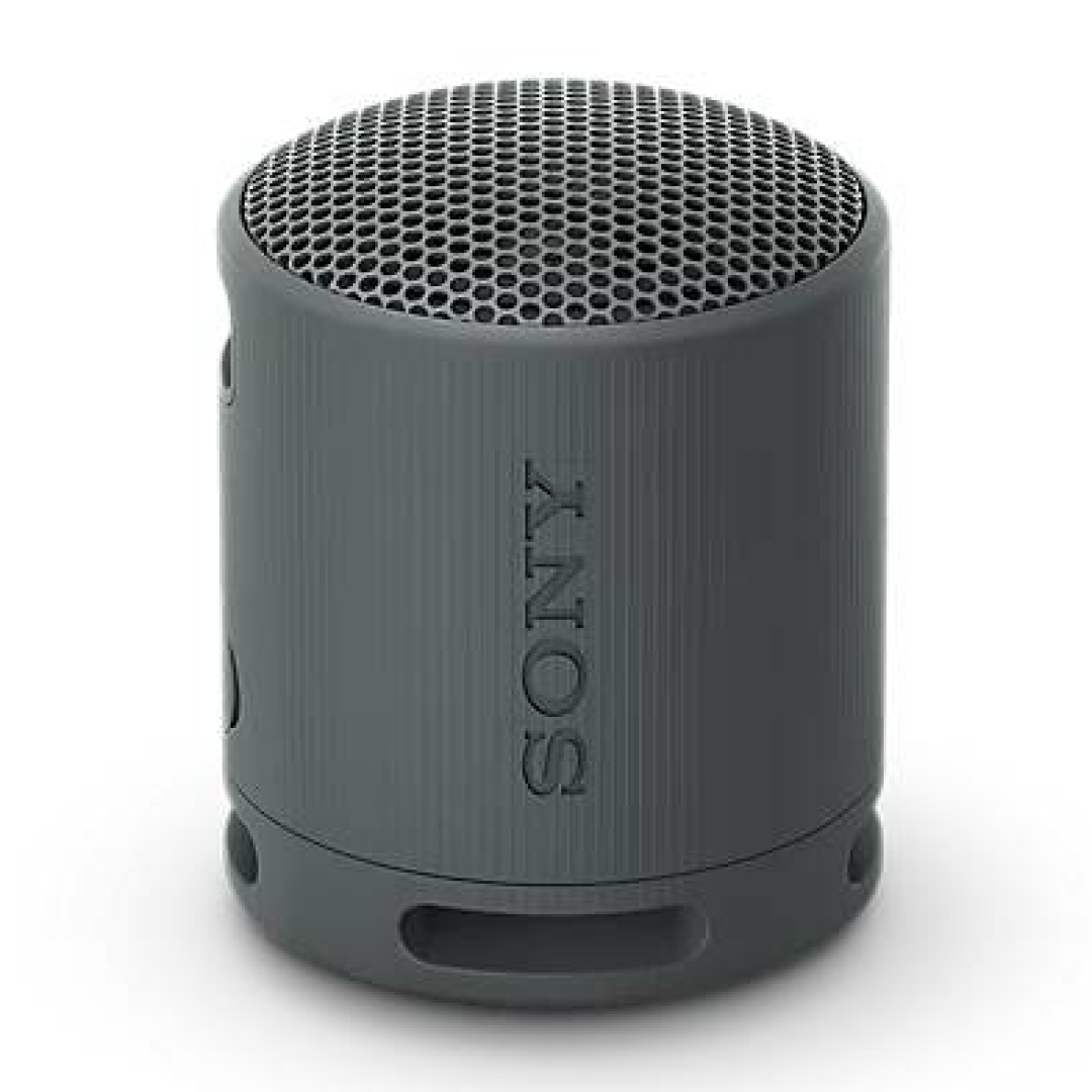 Портативная акустика Sony SRS-XB100