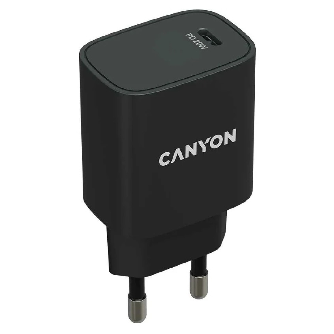 Сетевое зарядное устройство Canyon H20-02 черный