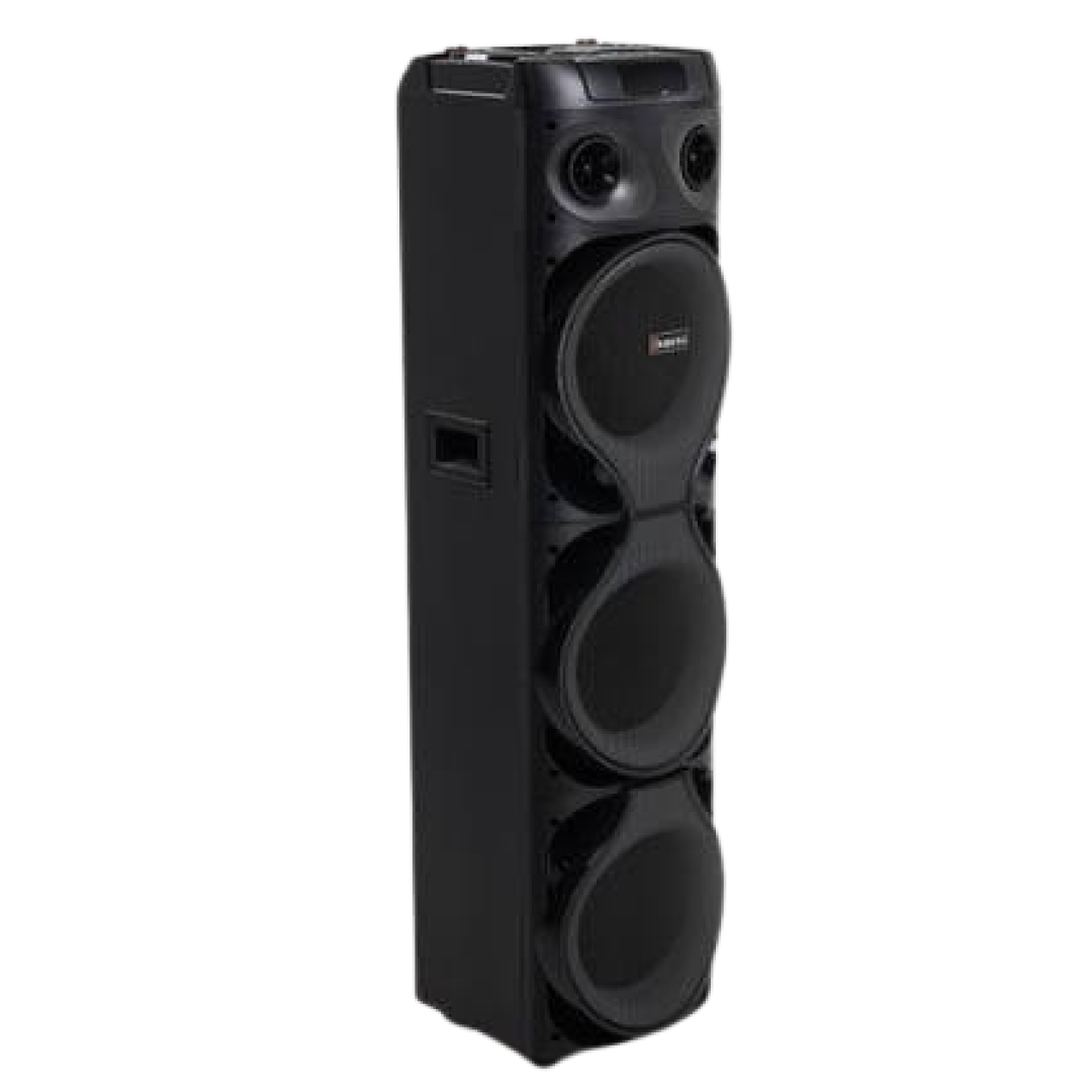 Subwoofer BQHONG MT1222 qora portativ kolonkasi + mikrofon