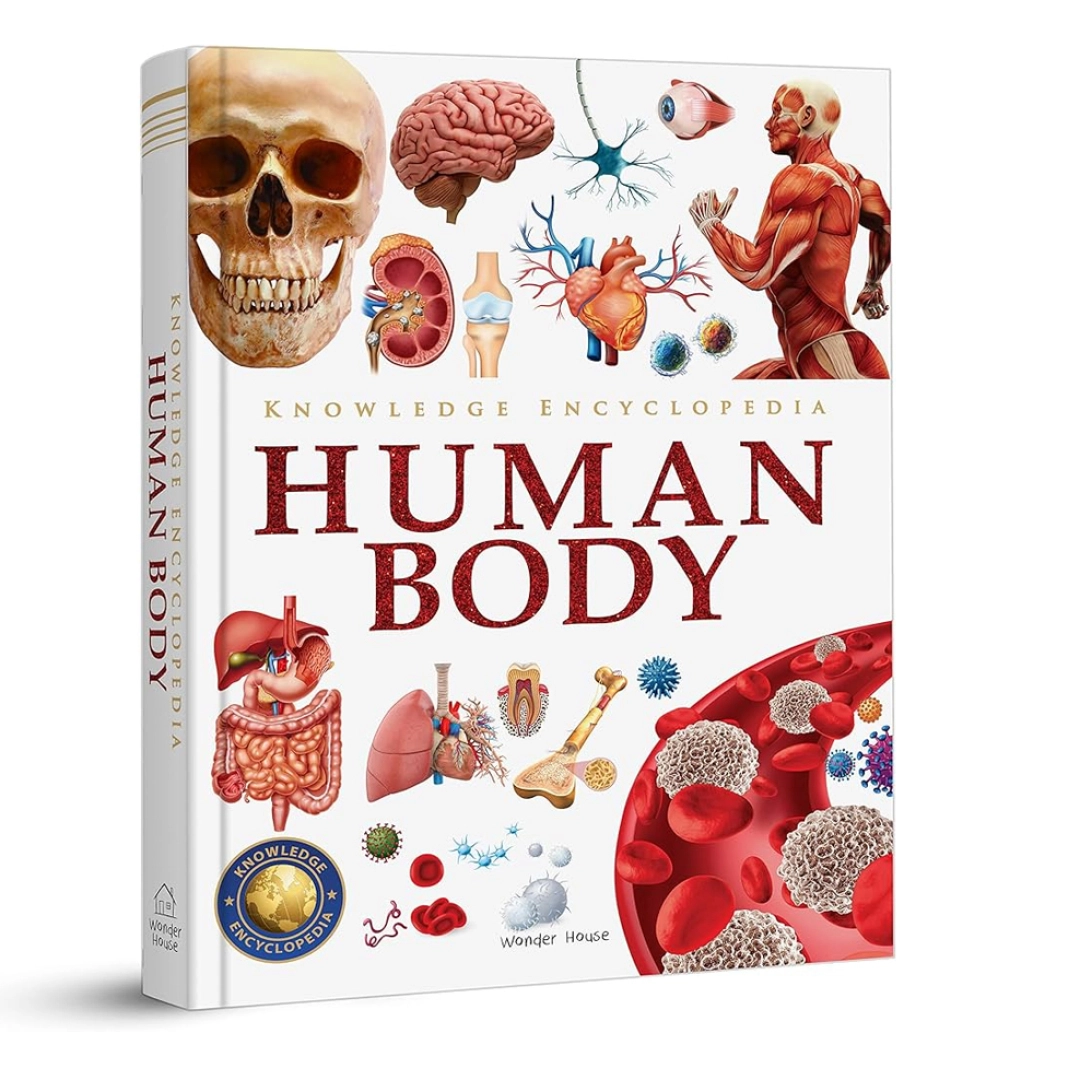 Knowledge Encyclopedia Human Body