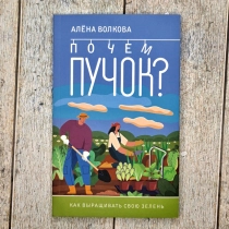 Алёна Волкова: Почем Пучок? ▷ ASAXIYdan xarid qilish: narxlar, xususiyatlar, izohlar
