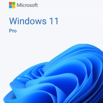 11 Pro