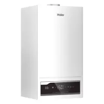 Devoriy gaz qozoni Haier ProLine S 2.35 ▷ ASAXIYdan xarid qilish: narxlar, xususiyatlar, izohlar